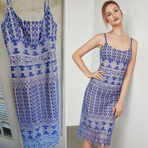 Gorgeous BCBGMaxAzria Alese Geometric Lace Lace Midi Dress Sz 10